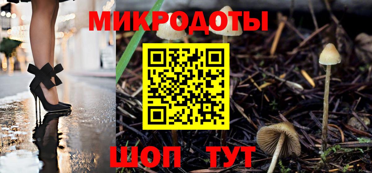 Галлюциногенные грибы Psilocybe  Вход с VPN  Сланцы  Галлюциногенные грибы Magic Shrooms 